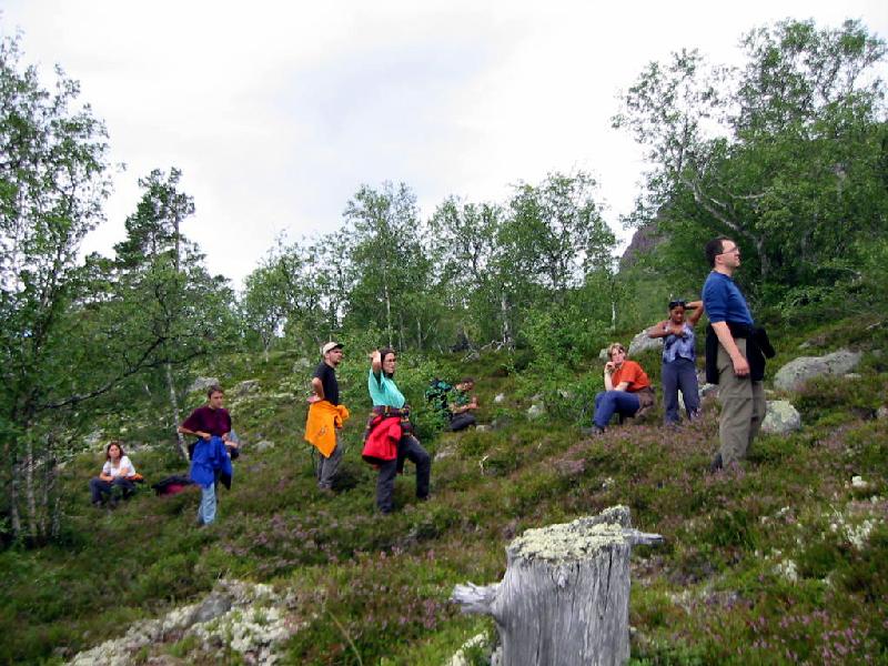 Norwegen Reisegruppe im Hochmoor mit Heidelbeeren