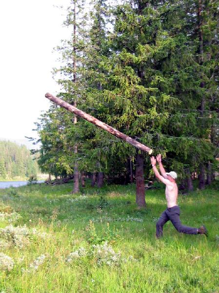 Baumstammwerfen in Norwegen