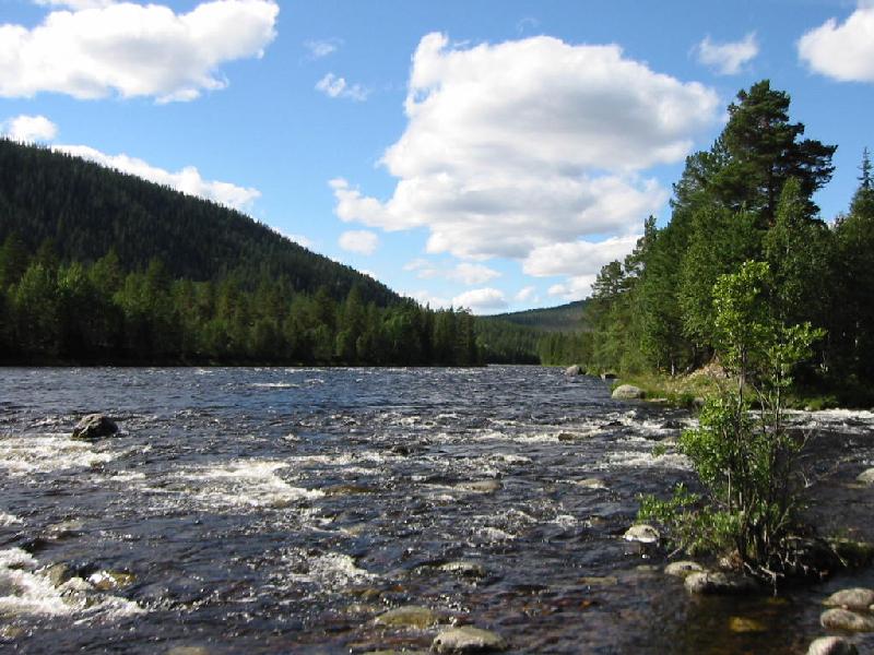 Wildwasserfluss in Norwegen